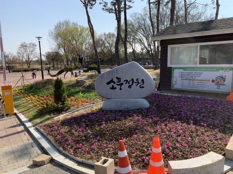  [평택] 날씨 따뜻하고 미세먼지 좋은날에 아이와 산책하기 좋은 ‘바람새마을’