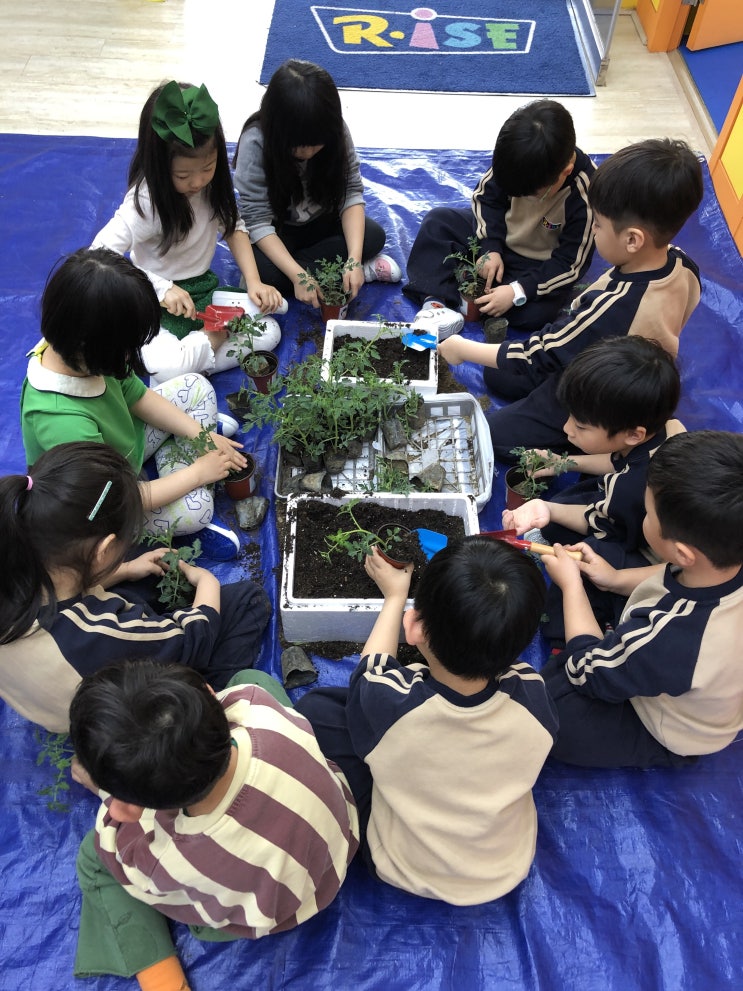  고양 일산 중산동 영유 초등영어학원 RISE 라이즈어학원 일산중산 4/22 Happy Earth Day!