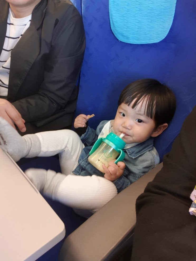  아기랑 해외여행 꿀팁과 꿀아이템!
