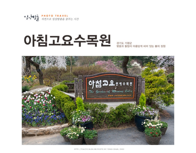  아침고요수목원 아름다운 봄나들이 봄꽃축제