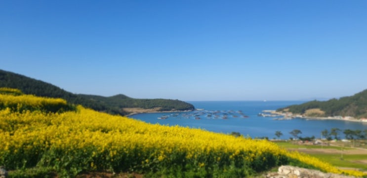  2019/04/15~2019/04/22 평생 감사일기