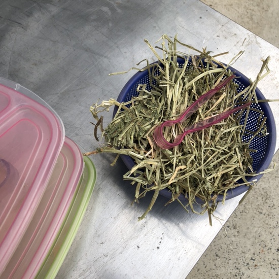  Apr.26 거제도 철이네동물농장, 동물체험, 19개월아기, 육아일상