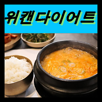  이태란 위캔다이어트 가격 후기 성분 탄수화물다이어트