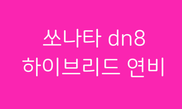  2019 쏘나타 dn8 하이브리드 외관 설명~ 하이브리드 연비는?