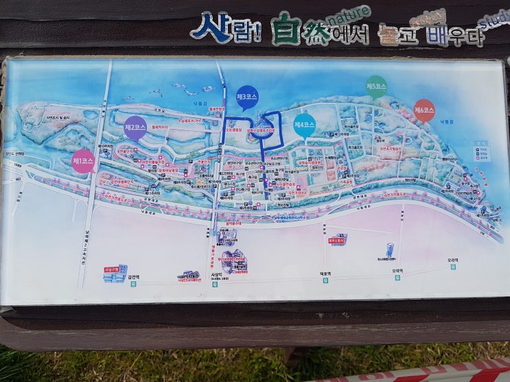  벚꽃 나들이로 삼락생태공원에 가서 다양한 문화생활을...