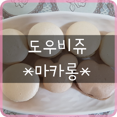  일산마카롱: 도우비쥬, 맛있는 무색소 디저트, 마카롱 전문점