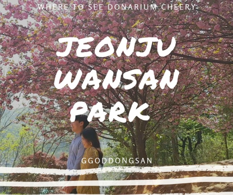 Jeonju Travel - Donarium Cheery Attraction 전주(겹)벚꽃 철쭉명소 - 완산공원 꽃동산(19.4.22)