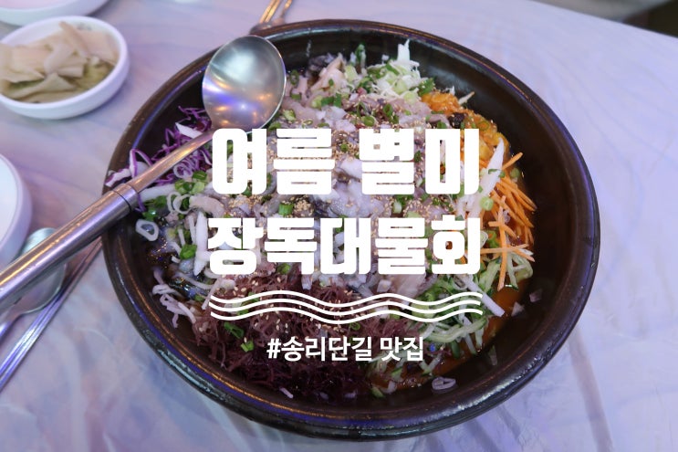  MBC 생방송 오늘 저녁 / 장독대물회 완도산횟집 추천
