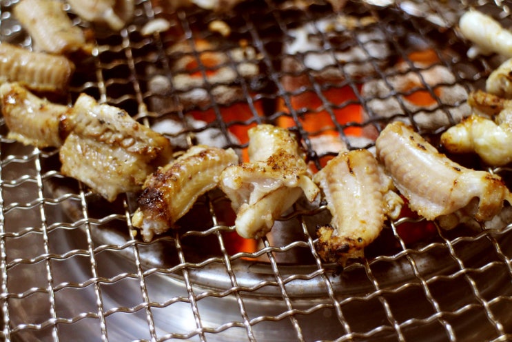  제주시 삼화지구 맛집 100배 즐기기