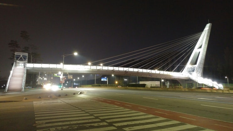 [야탑동, 여수동] 성남시청을 찍고 돌아오는 밤산책