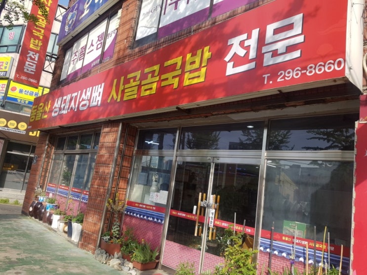  동울산 생돼지생뼈 사골곰국밥