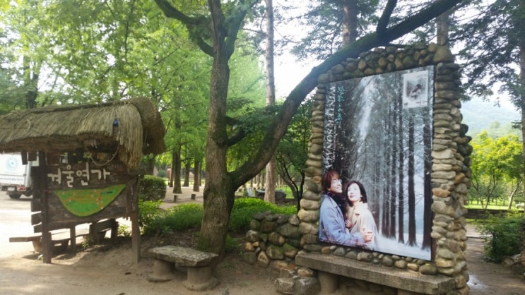  남이섬