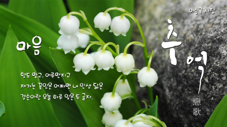  [추억이 있는 시이야기] 추억戀歌 - 마음