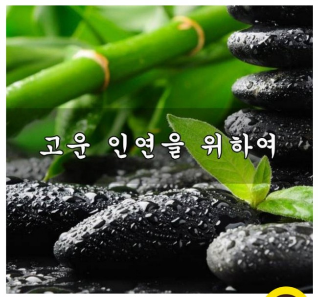  고운 인연을 위하여