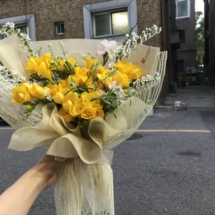  (풍덕천동꽃집)프리지아꽃다발
