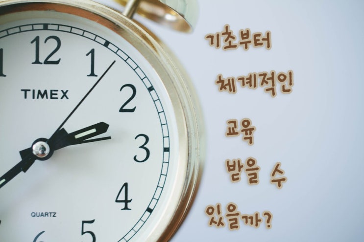  대구전산회계학원 기초부터 체계적인 교육 받을 수 있을까?