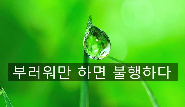  부러워만 하면 자존감도 없어진다-풍연심(장자)