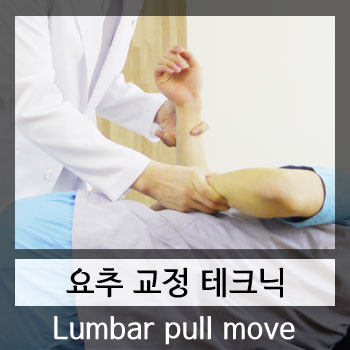  카이로프랙틱 간스테드 테크닉 교육