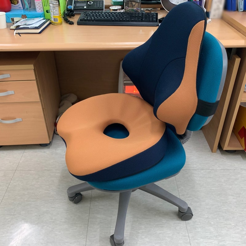 베네폼 허리소프트 메모리폼 허리 등받이 쿠션+골반 방석 후기 : 네이버 블로그