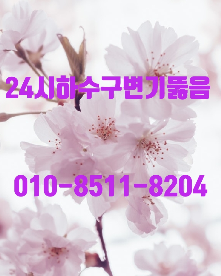  시흥하수구막힘 시흥하수도막힘 역류 뚫음 뚫는업체!