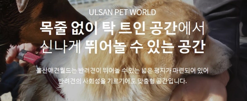 사진 2