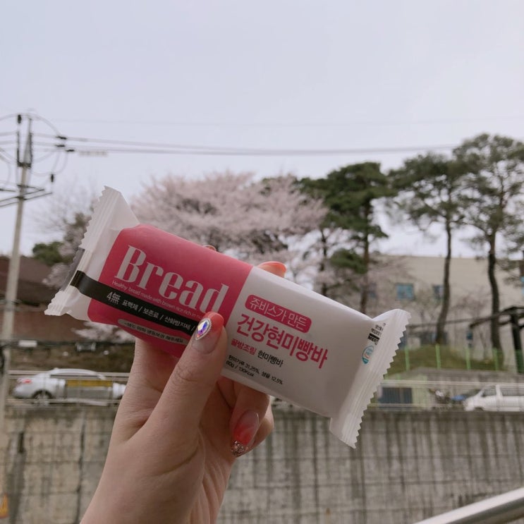  식사대용, 한끼 든든한 쥬비스 건강현미빵바