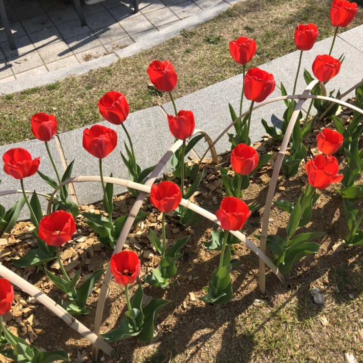  역마살 낀 한 주