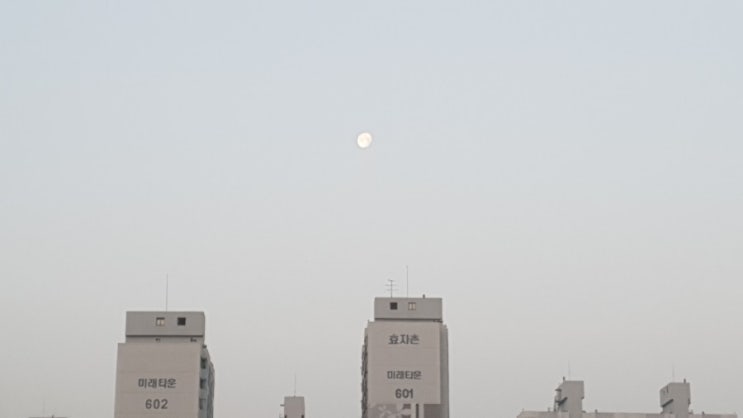  2019.04.22 새벽풍경.