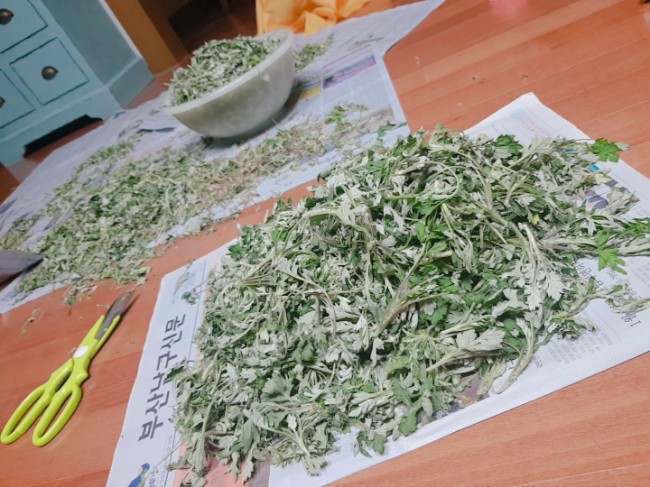  지지리도 말 안듣는 딸!