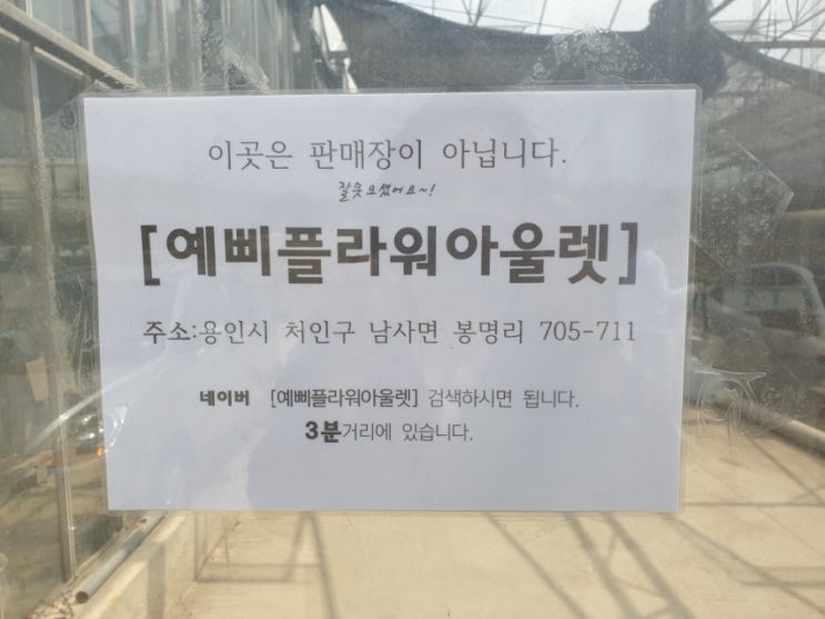  용인 남사화훼단지/예삐플라워아울렛