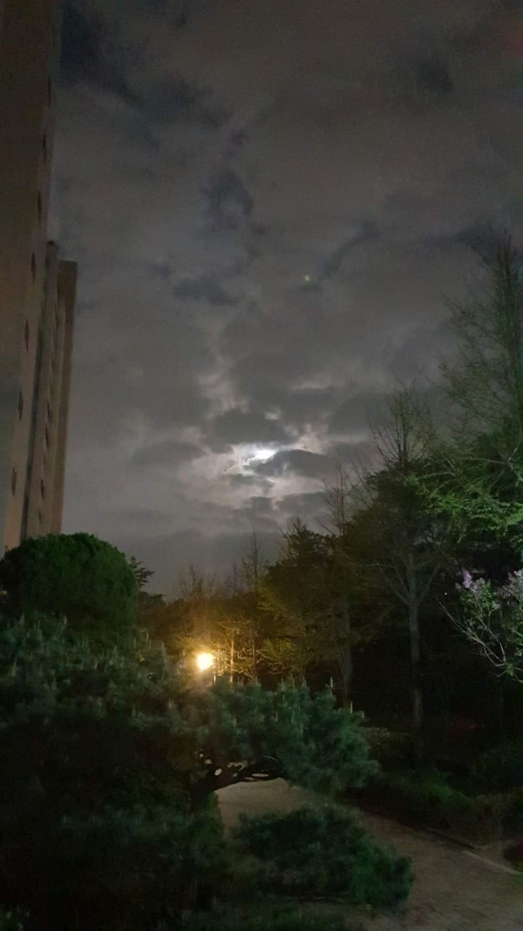  2019.04.20 새벽풍경.