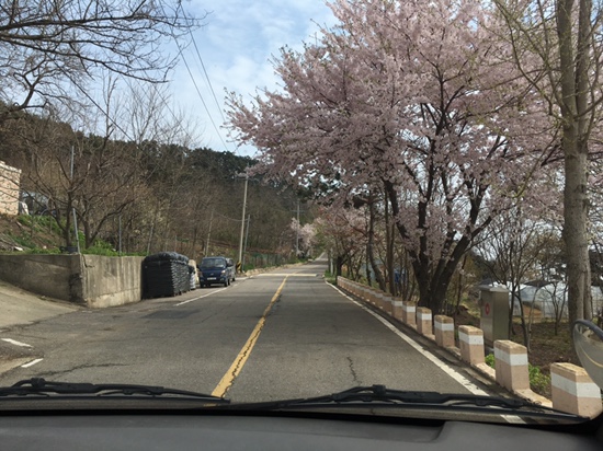  자월도 해루질 1박2일 보고서 (2019. 4. 20 ~21)