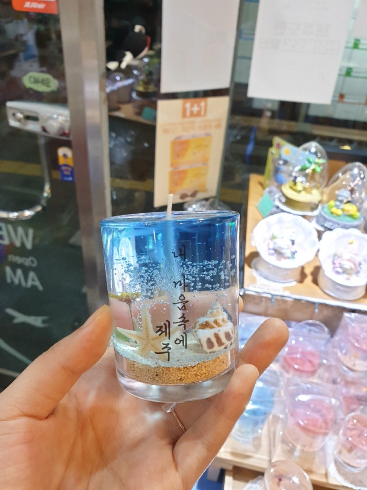  4월 제주도 여행 첫날  ( 광주공항 - 제주R호텔  - 동문시장(과일은비추) - 용두암 - 태하횟집)