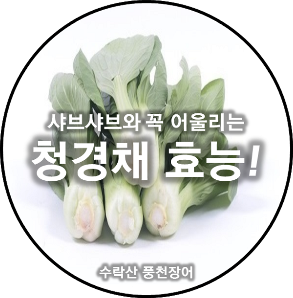  샤브샤브와 아삼륙, 면역력에 좋다는 청경채효능 알아볼까요?