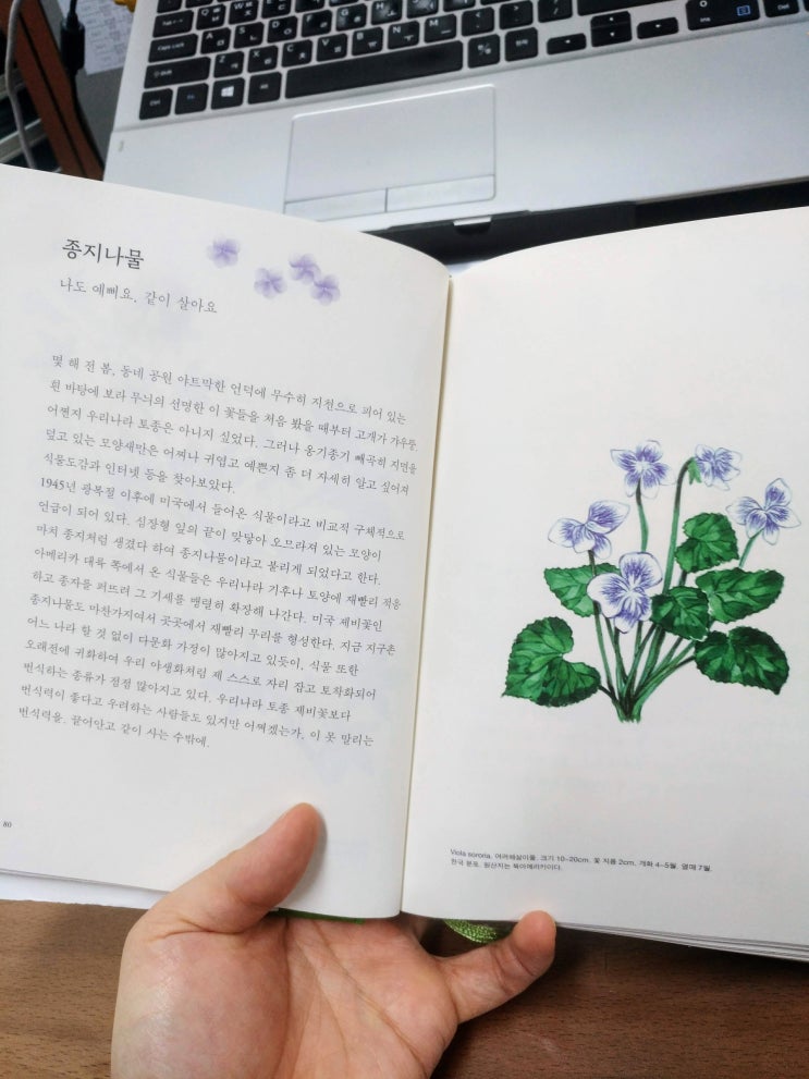  김정미, <우리나라 꽃그림>을 읽고 나서...