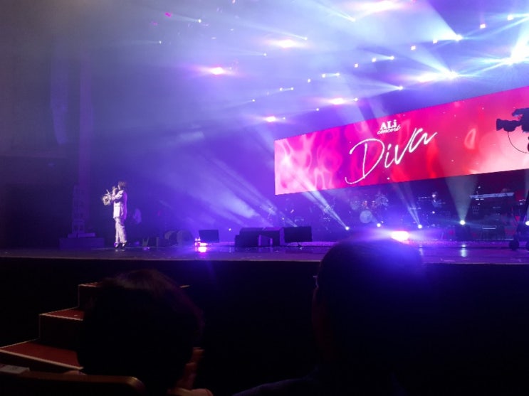  남편과 첫 콘서트 관람 2019년 알리콘서트 공연후기