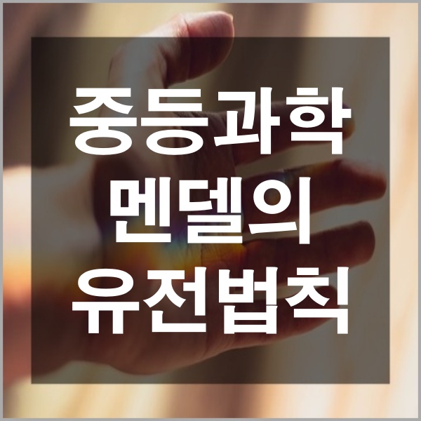  중등과학 고등 과학탐구 유전 부분 혈액형 멘델의 유전 법칙