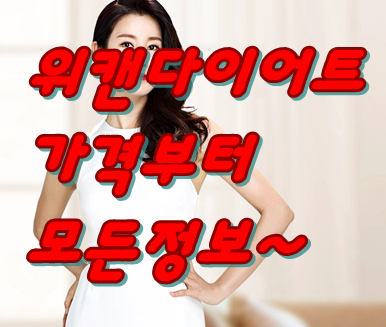  이태란 위캔 다이어트 업 가격 후기 띠용