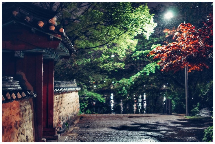  비가 와서 촉촉했던 날 (2018. 4. 24. - a7m3 + fe50/1.8)