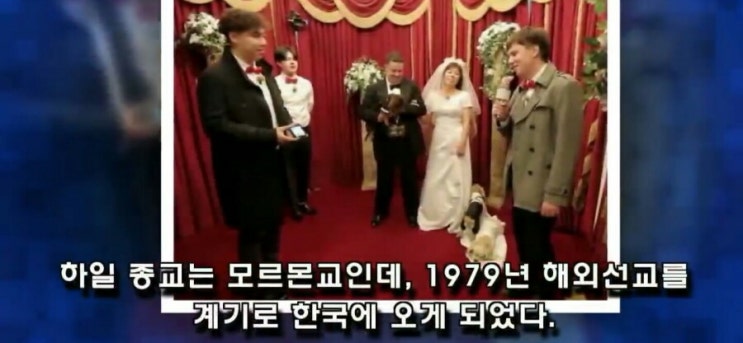  로버트할리