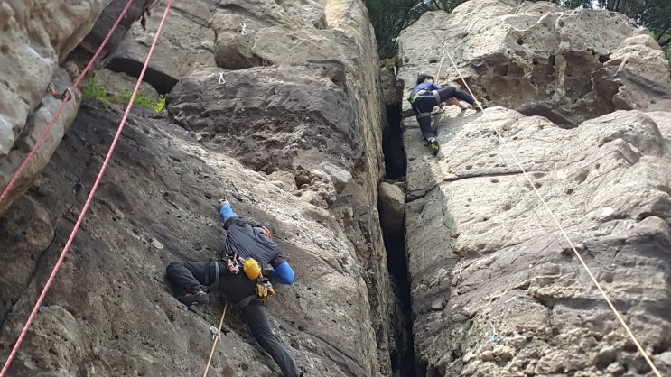  동경하우징 미래일기 서른일곱번째ㅡ 영업은 신뢰다.