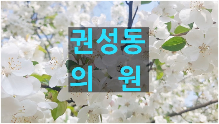  강원랜드 채용청탁 권성동 의원은 누구?