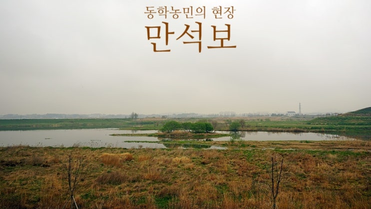  전라도 여행: 정읍 동학 농민혁명과 쌍화차 거리