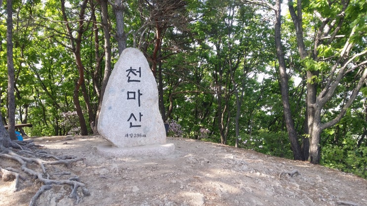  단골 산행지 천마산 또 둘러보기