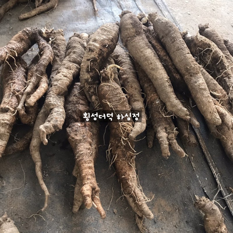하심정 횡성더덕)봄더덕 최고 : 네이버 블로그