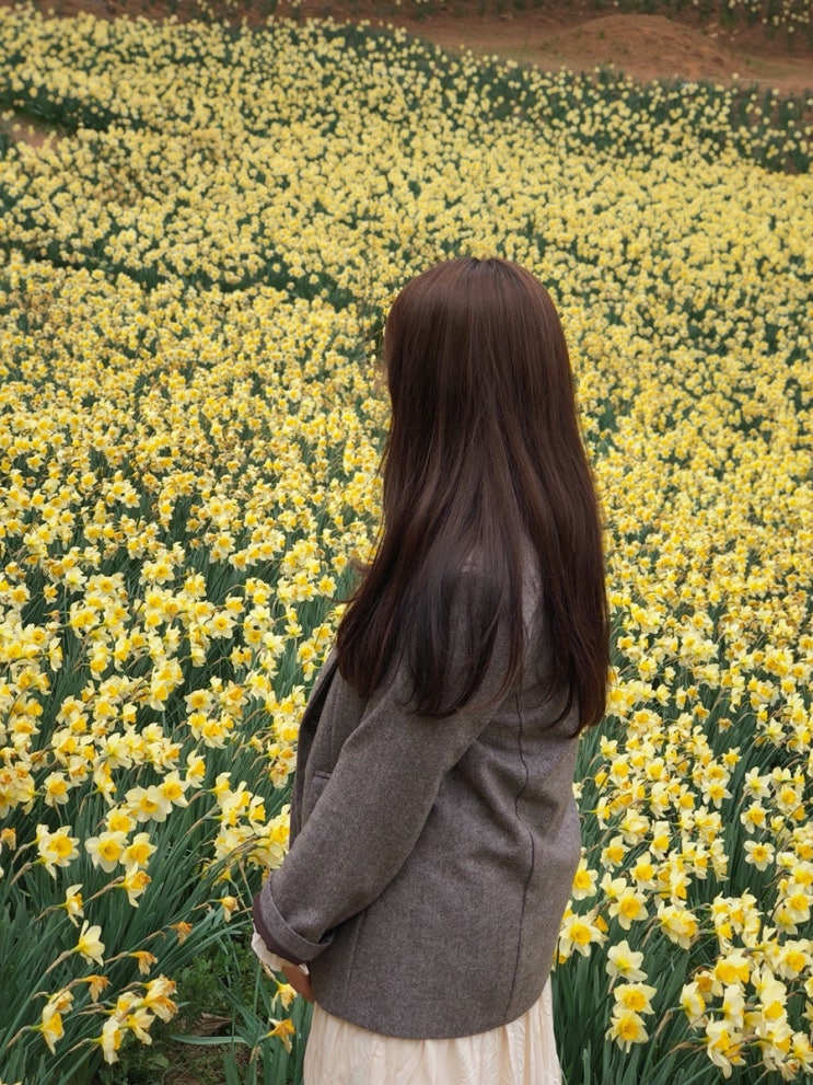  4/20 서산