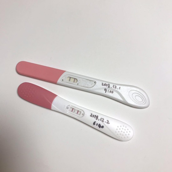  [임신초기:5주~15주] 임신확인/병원진료/팔월아 안녕!