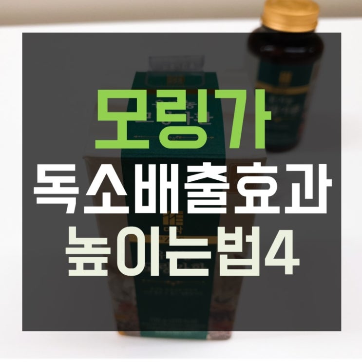  모링가, 독소배출 효과 높이는 방법 4가지