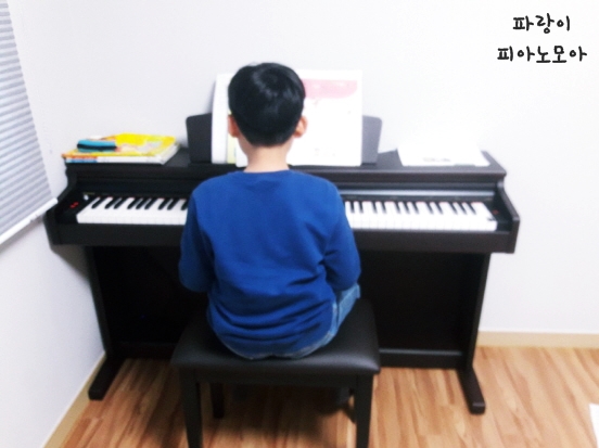  다이나톤 SLP350 목건반 전자피아노 가성비 갑!