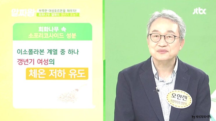  회화나무열매